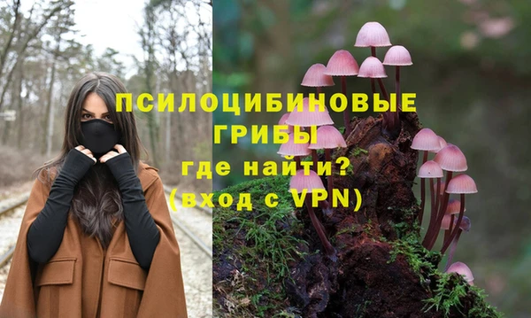 молекула духа Навашино