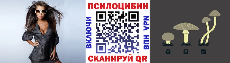 Псилоцибиновые грибы мицелий кракен ССЫЛКА Балаково