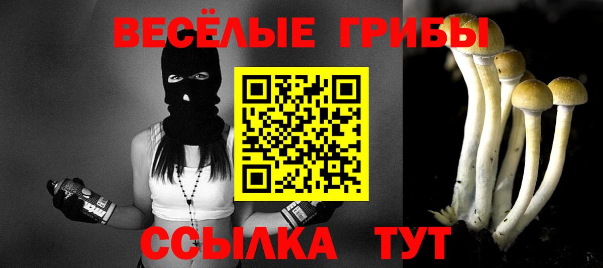Балаково  Псилоцибиновые грибы мухоморы  Галлюциногенные грибы мухоморы  Вход с VPN 
